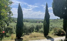 Bild vorgelegt von den Gästen von Il Leccio 