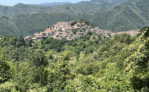 Bild vorgelegt von den Gästen von Broccolo 