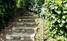 Bild vorgelegt von den Gästen von Montegufoni 