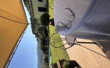 Bild vorgelegt von den Gästen von Orangerie degli Ulivi 