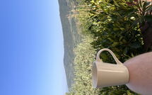 Bild vorgelegt von den Gästen von Orangerie degli Ulivi 