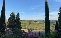 Bild vorgelegt von den Gästen von Montegufoni 