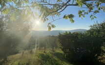 Bild vorgelegt von den Gästen von Il Circolo 