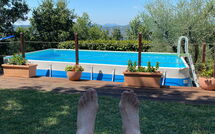 Bild vorgelegt von den Gästen von Il Circolo 