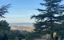 Bild vorgelegt von den Gästen von Montaione 140 