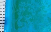 Bild vorgelegt von den Gästen von Tenuta di Campagliana 