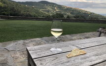 Bild vorgelegt von den Gästen von Tenuta Pomona 