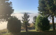 Bild vorgelegt von den Gästen von Lajatico 602 