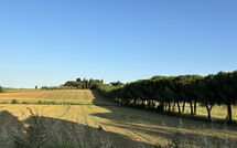 Bild vorgelegt von den Gästen von Villa Camelia 