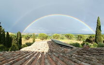 Bild vorgelegt von den Gästen von Poggio Falcone 