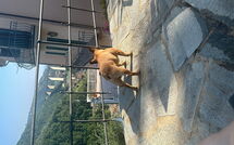 Bild vorgelegt von den Gästen von Belvedere, House with Private Pool and Garden, Rec 