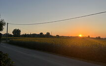 Bild vorgelegt von den Gästen von Villa Cantagallo 