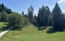 Bild vorgelegt von den Gästen von Alpe 