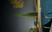 Bild vorgelegt von den Gästen von Villino Alba 