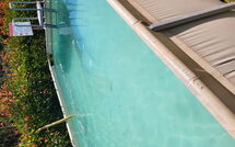 Bild vorgelegt von den Gästen von Villetta Luciana 