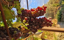 Bild vorgelegt von den Gästen von San Eusebio 