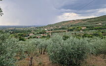 Bild vorgelegt von den Gästen von San Eusebio 