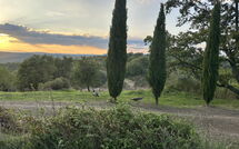 Bild vorgelegt von den Gästen von Podere Orietta 