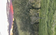 Bild vorgelegt von den Gästen von Sole nel Prato 