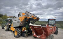 Bild vorgelegt von den Gästen von Sole nel Prato 