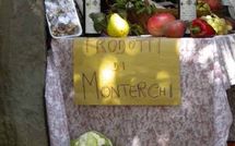 Bild vorgelegt von den Gästen von Palazzo Rosadi 