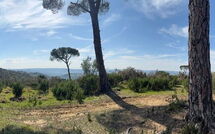 Bild vorgelegt von den Gästen von Dependance di Villa Magna 