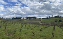 Bild vorgelegt von den Gästen von Dependance di Villa Magna 