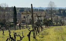 Bild vorgelegt von den Gästen von Dependance di Villa Magna 