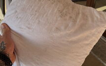 Bild vorgelegt von den Gästen von Ville San Pietro (Rei352) 