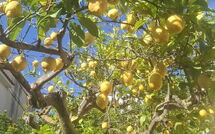 Bild vorgelegt von den Gästen von Vista Mare Noto 