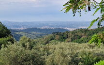 Bild vorgelegt von den Gästen von Florence 646 