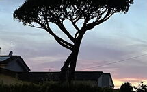 Bild vorgelegt von den Gästen von Antonia 