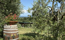 Bild vorgelegt von den Gästen von Il Campanile 