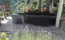 Bild vorgelegt von den Gästen von Il Gianlupo Grigio 