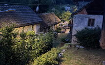 Bild vorgelegt von den Gästen von Il Gianlupo Grigio 