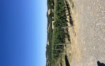 Bild vorgelegt von den Gästen von Villa le Buche 