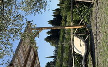 Bild vorgelegt von den Gästen von Greve in Chianti 651 