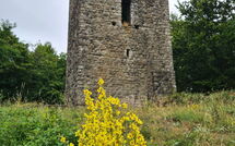 Bild vorgelegt von den Gästen von Villa Rosata 