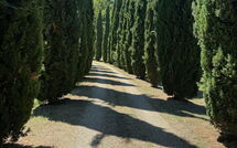 Bild vorgelegt von den Gästen von Podere Valcellino 