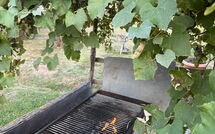 Bild vorgelegt von den Gästen von Podere Valcellino 