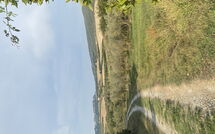 Bild vorgelegt von den Gästen von Cuccardino 