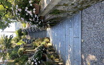 Bild vorgelegt von den Gästen von Gianni 