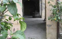 Bild vorgelegt von den Gästen von Podere Centone 
