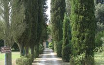 Bild vorgelegt von den Gästen von Villa Fontine 