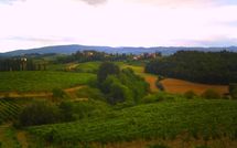 Bild vorgelegt von den Gästen von Casa Mori 