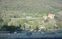 Bild vorgelegt von den Gästen von Montescalari 