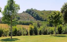 Bild vorgelegt von den Gästen von Casa Cervognano 