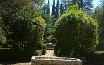 Bild vorgelegt von den Gästen von Palazzo Sarteano 