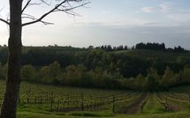 Bild vorgelegt von den Gästen von Borgo Tollena 