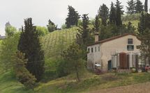 Bild vorgelegt von den Gästen von Borgo Tollena 